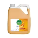 5 ltr Dettol Handwash Re-Energize Liquid
