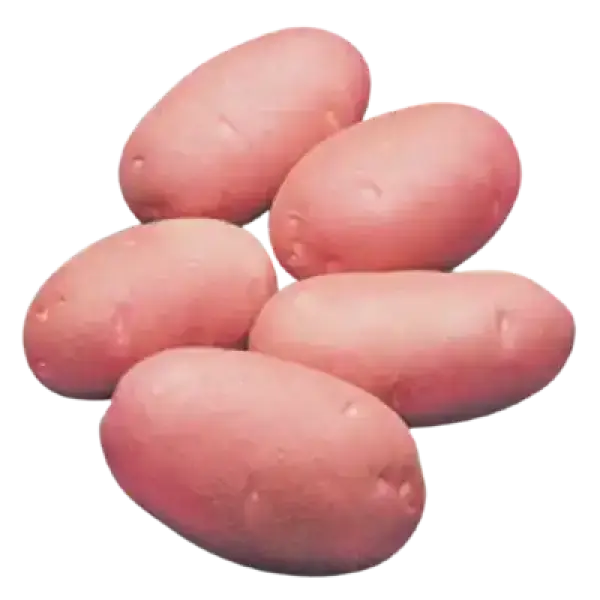 1 kg Lal Alu (Red Potato Cardinal) ± 50 gm