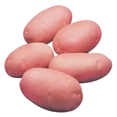 1 kg Lal Alu (Red Potato Cardinal) ± 50 gm